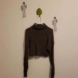 Cropped Turtleneck sweater